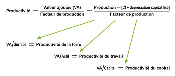 MotsAgro Productivite 1.jpg