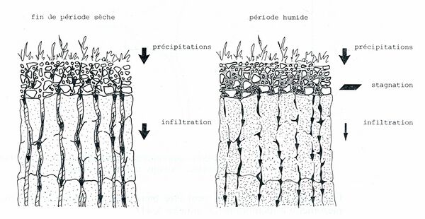 MotsAgro Planosols 1.jpg