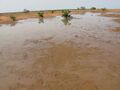Vignette pour la version du 8 juin 2026 à 16:31