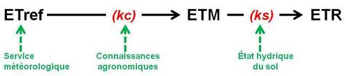 MotsAgro Évaporation, transpiration végétale, évapotranspiration les mots 1.jpg