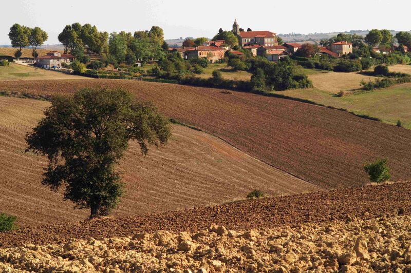 Fichier:Travail Sol.jpg