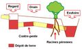 Vignette pour la version du 10 juillet 2024 à 16:15