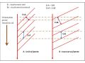 Vignette pour la version du 10 juillet 2024 à 16:15