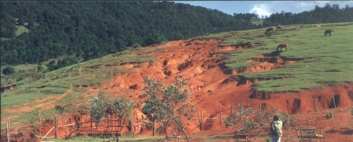 Terrain bouleversé par le surpâturage et la destruction de la forêt, Vietnam