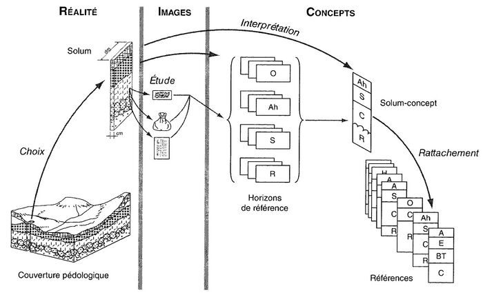 MotsAgro Solum 1.jpg