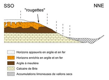 Distribution des sols sur les versants en Brie laitière