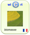 LogoWicriBiomasse2021Fr.png