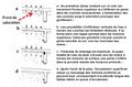 Vignette pour la version du 10 juillet 2024 à 16:15