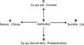 Vignette pour la version du 10 juillet 2024 à 16:21